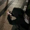 shit7_