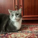 Аватар yonsks23