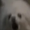 a_l_t_o_