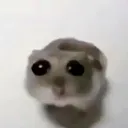 ix_ctubb