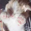 avatar ˚ʚ♡ɞ˚ Sage