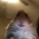 Аватар cleverboy23312