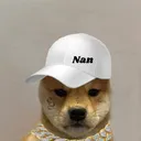 nan.rk4