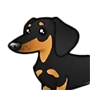 mp_mp