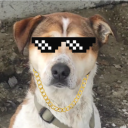 avatar 🐶Milan Psiarz 🐶