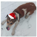 avatar 🐶Milan Psiarz 🐶