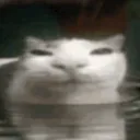 .depressedmale