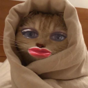 avatar !             𝑯𝒆𝑹𝒐𝒊𝑵𝒆 ¹⁴³