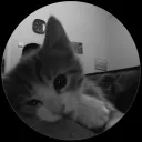 userprofilexyz