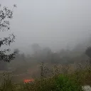 bigblackdrandy avatar