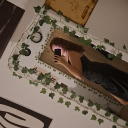 avatar 𝑁𝑖𝑘𝑖