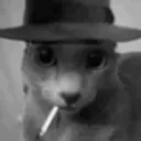 topyk