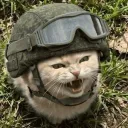 topyk