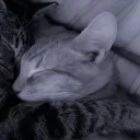 sleepy._.6
