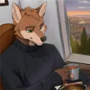 _wolfin.