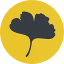 ginko.live