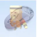 homen_do_mouse