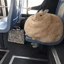 stonber