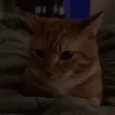 theofficial_max