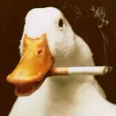 .lokilol6