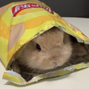 avatar 𝕣𝕚𝕙𝕒𝕞