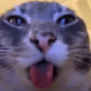 iwatchtvonmytv