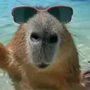 superidol6593 avatar