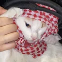 keffiyats