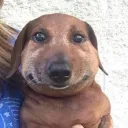 Аватар bobr335123