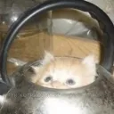 Аватар whathecasper