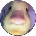 max._.am._.daddeln