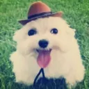 .mmikeyyton