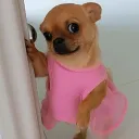 prettybutloco