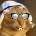 _t_o_n_a