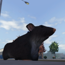 maxwell8096's Avatar