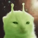 kkiinnss