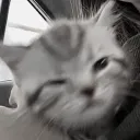 imnincromance