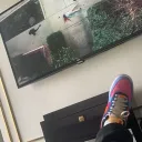 mroylive