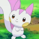 pachirirsu