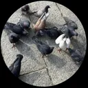 fm3940
