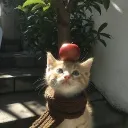 .themanzana