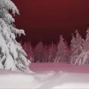 Аватар kopidura.