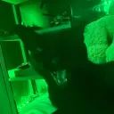 krazycatz_