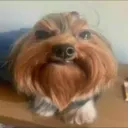 blixdugf