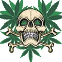blancofirst6