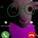 avatar ꧁༺ 𝓕𝓲𝓷 𝓣~𝓣 ༻꧂