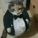 loquiy_hijo_de_i avatar