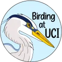 .birding.