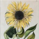 shinsaneagain