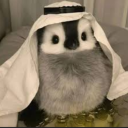 avatar noooo my hootspoot